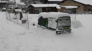 An Omlet Eglu Cube chicken coop covered in the snow.