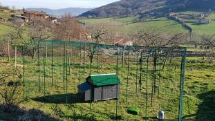 A large chicken coop enclosure made by Omlet.