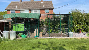 A large walk in chicken run set up in a garden.