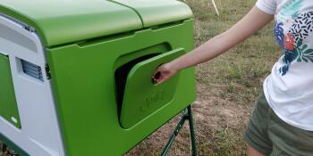 girl opening the side door to the cube chicken coop