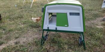 Eglu Cube Large Chicken Coop in Green