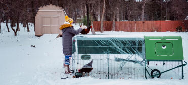 Our Eglu Cube under the Snow