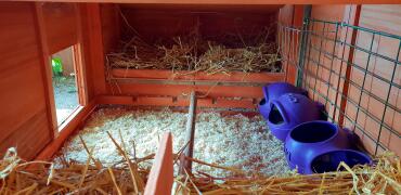 Grub and Glug Feeders in Chicken Coop