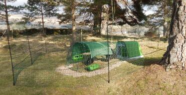 Fencing around the coop to make a larger run area.