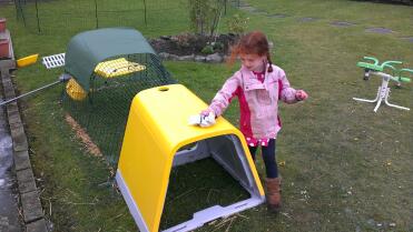 Abby cleaning the coop