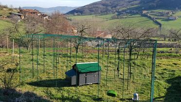 We have got a 3m by 6m chicken enclosure.