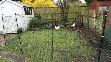 Plenty of netting to spare when I want to move to another part of the garden in the summer (if it arrives)! 