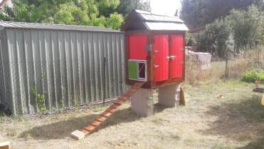 Omlet Green Automatic Chicken Coop Door Attached to Wooden Chicken Coop