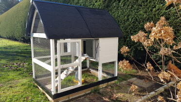 The autodoor looks great on every chicken coop!