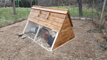 Retract the ramp using the rope inside to keep your chickens warm and safe at night