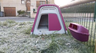 The coop keeps your chickens warm in winter