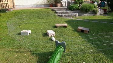 Easy to attach to the outdoor enclosure for my guinea pigs.