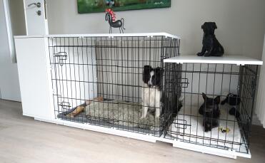 Dog house