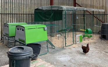 My set up for my chickens!