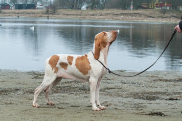 What a lovely spot for a walk!