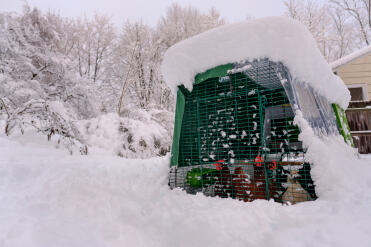 I love this product... we had a rough winter. the combo kept my girls safe. 