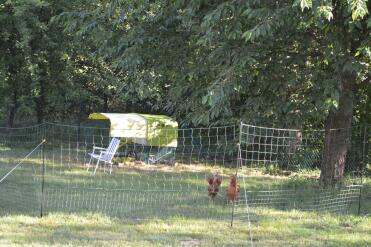 Chicken coop with run