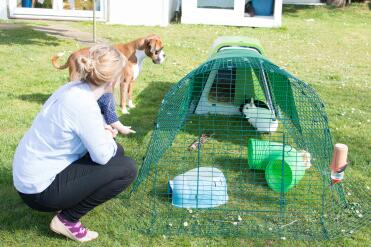 Happy Bunnies, safe and sound.