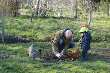 Digging and chickens