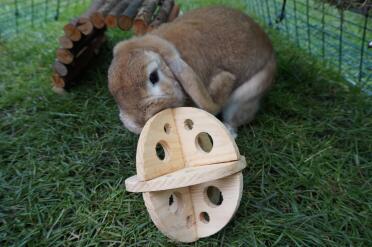 Lop chewing Wooden Roll 'n' Chew