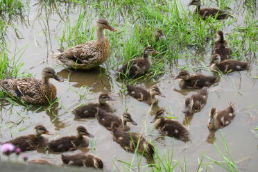 Time for a swim!