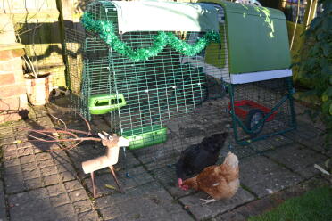 Rose and Ivy getting in the festive mood.