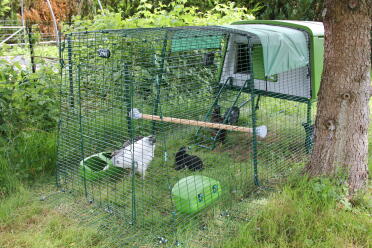 Omlet Green Eglu Cube Large Chicken Coop and Run