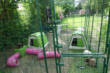 3x6x2 Omlet outdoor enclosure