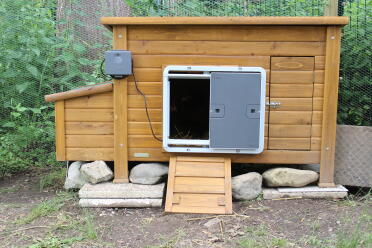 Omlet Grey Automatic Chicken Coop Door Attached to Wooden Chicken Coop