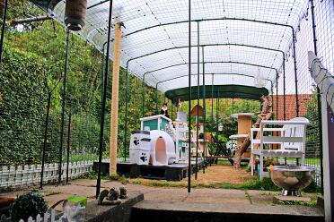 What a lovely catio!