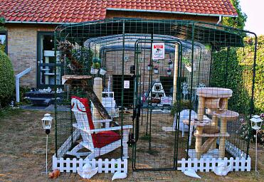 Cats love to have a catio to explore!