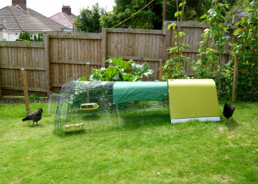 Eglu Go Green Chicken Coop with run