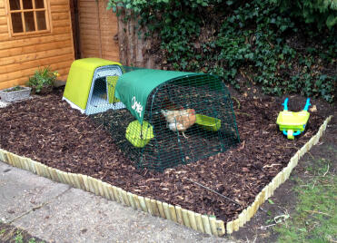 Green Eglu Go Chicken Coop with run