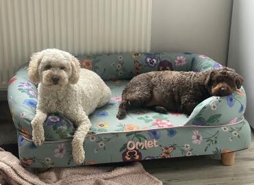 Fern and daisy love their Bolster Bed!