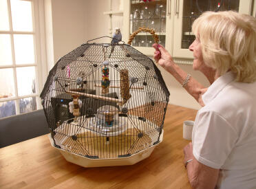 The wonderful Geo budgie cage