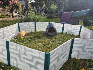 A great addition to the garden for my guinea pig to play in!