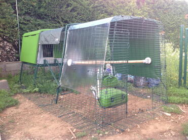 My new hen house with an extension, my hens adopted it immediately