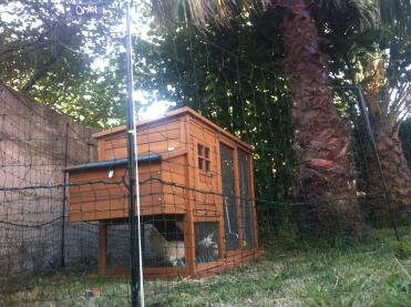 Wooden Coop with Omlet Chicken Fencing