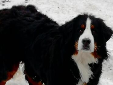 This girl is happy to see the snow!