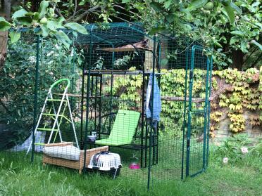 Cat Enclosure with rose arbour inside 5