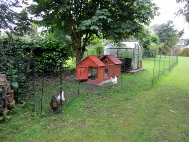 Wooden chicken coop, greenhouse, 3 chickens and Omlet's Chicken fencing