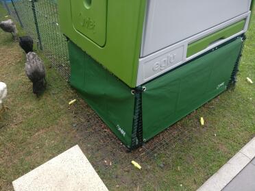 Protect your chickens from the wind and rain!