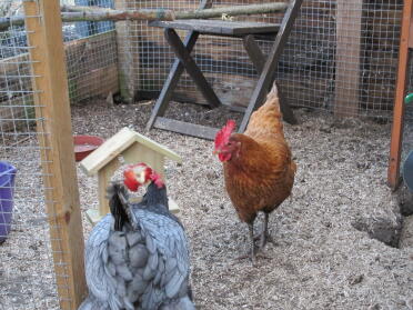 Betty and Charlotte having fun!