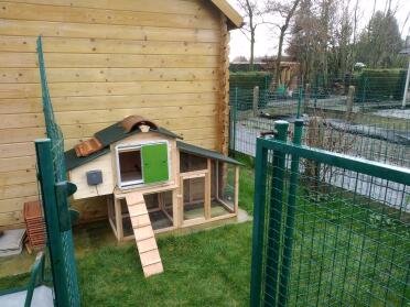 Omlet Green Automatic Chicken Coop Door Attached to Wooden Chicken Coop