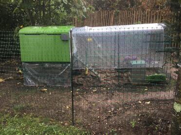 Omlet Green Eglu Cube Large Chicken Coop and Run