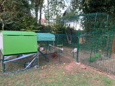 Omlet Green Eglu Cube Large Chicken Coop and Run Connected to Walk in Chicken Run