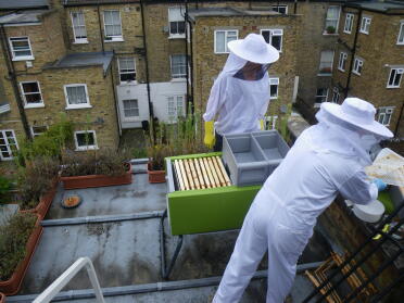 Three storeys up in W6