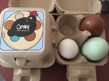 Omlet Egg Box and Eggs