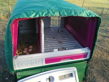 Thermal blanket access to eggs and nest box