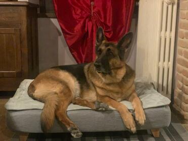 The 'queen' frida on her new bed